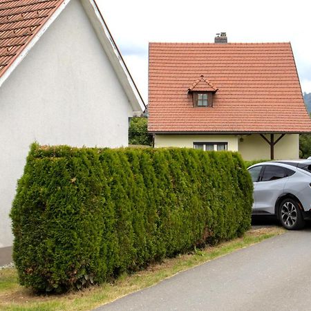 Flat Bull Appartement Mit Garten Sankt Lorenzen bei Knittelfeld Екстериор снимка