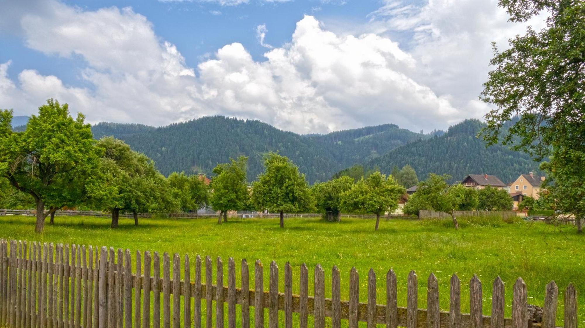 Flat Bull Appartement Mit Garten Sankt Lorenzen bei Knittelfeld Екстериор снимка